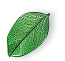 floating_leaf_01 https://toptiercleaner.com/wp-content/uploads/2025/07/floating_leaf_01.png